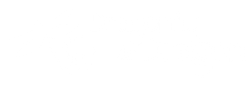 Dragonfly & Dragon